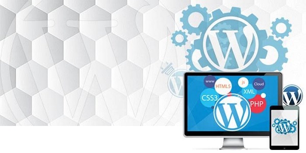Thiết kế web Wordpress có thật sự tối ưu trong thời điểm hiện tại? 12 Wordpress có 1 “kho” tài nguyên vô cùng đồ sộ