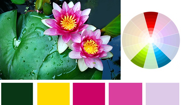 6 Quy tắc phối màu quan trọng cần ghi nhớ trong thiết kế Website 7 Phối các màu xen kẽ nhau để giúp Website trở nên riêng biệt và đặc sắc hơn.
