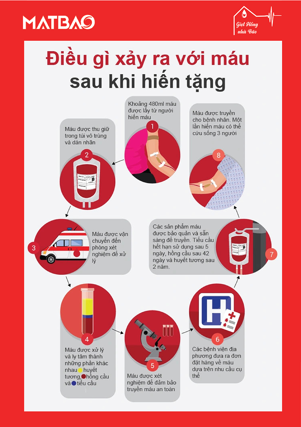 Chương trình hiến máu nhân đạo “Giọt hồng nhà Bão” 7 Chương trình hiến máu nhân đạo “Giọt hồng nhà Bão” - 7